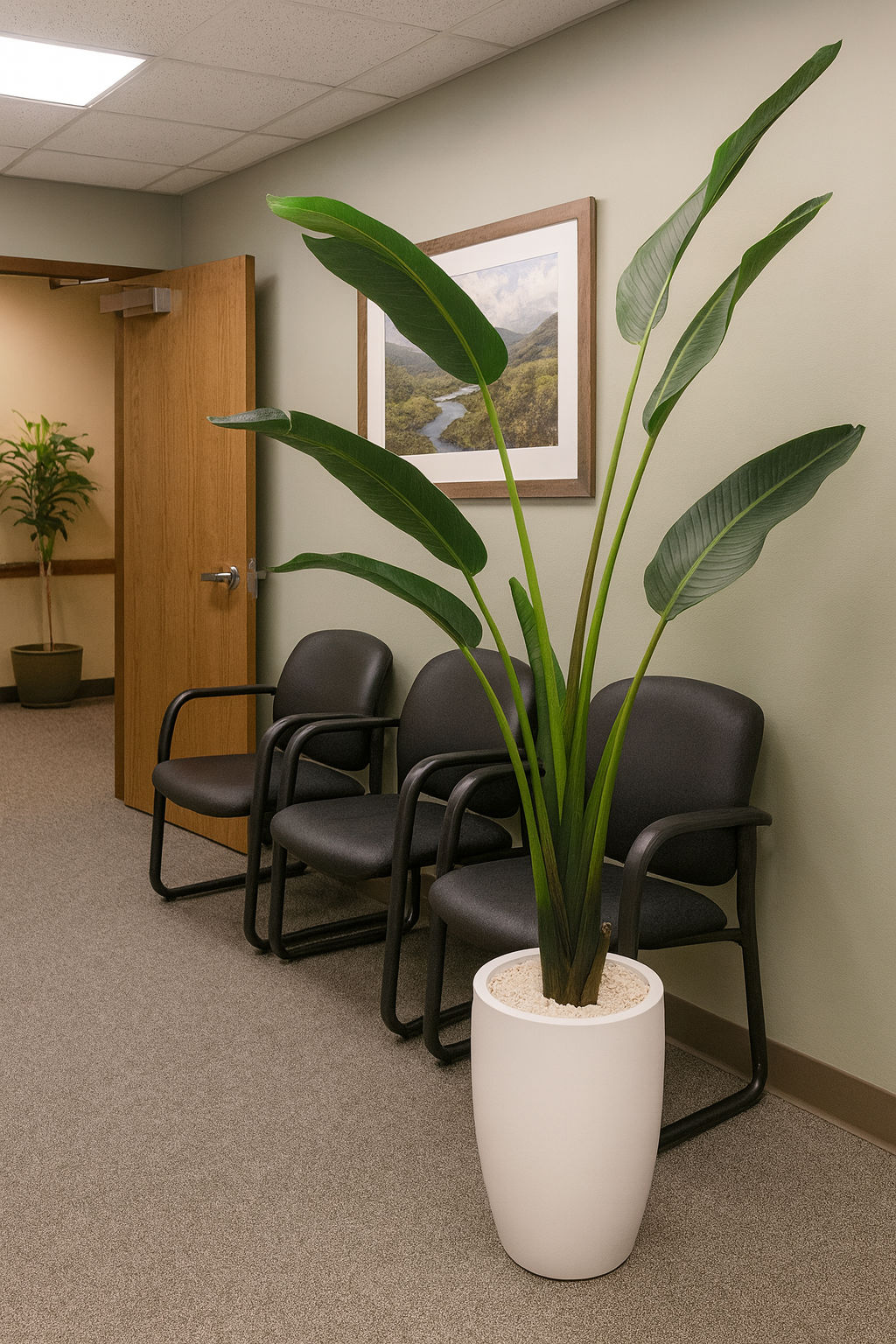 Plantas em ambiente interno
